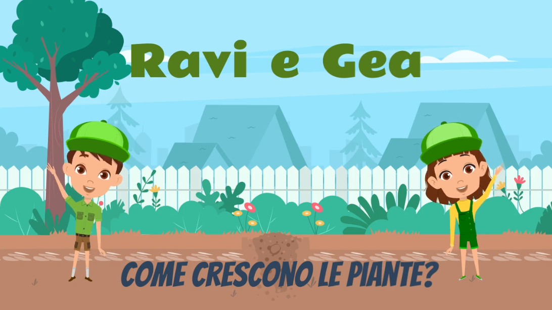 Come crescono le piante